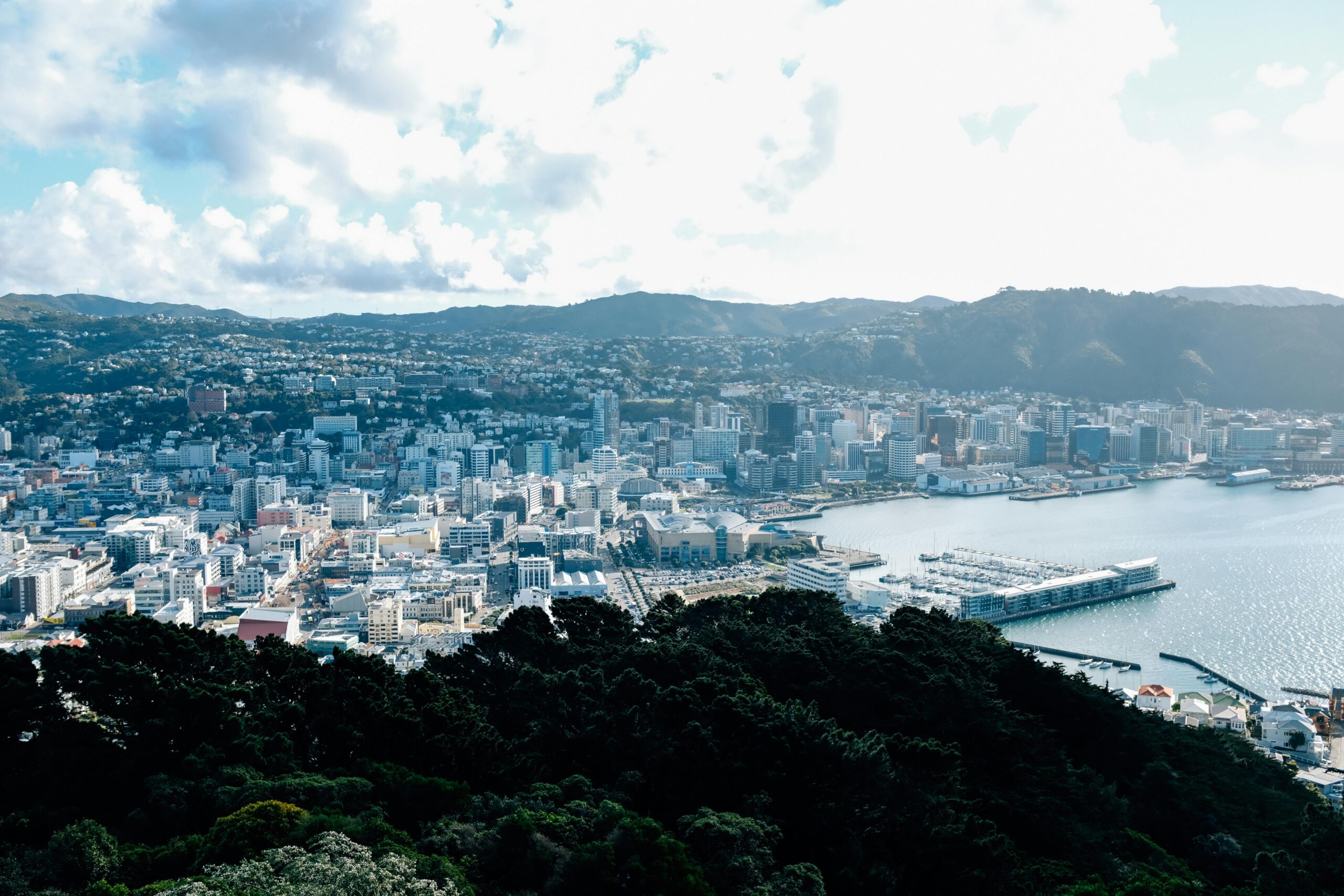 Wellington, New Zealand view of the city and subdivisions which would have needed publicly notified resource consent